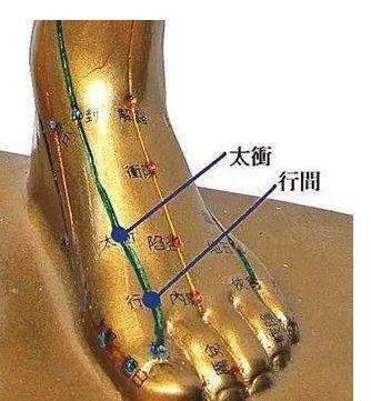 补气穴、补血穴42条